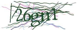 Enter the character string shown in the picture